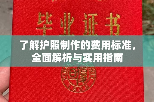 乐平了解护照制作的费用标准，全面解析与实用指南