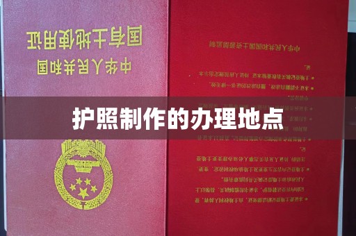 乐平护照制作的办理地点