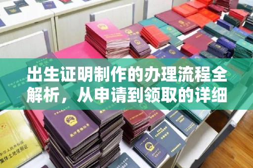 乐平出生证明制作的办理流程全解析，从申请到领取的详细指南